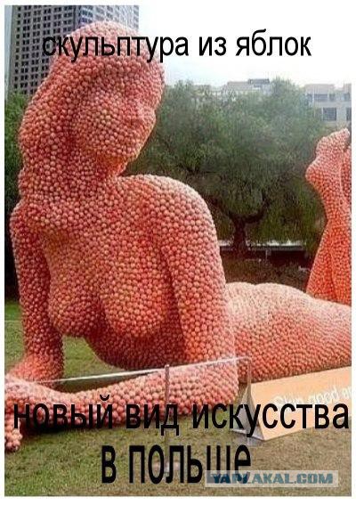 Сборную России освистали