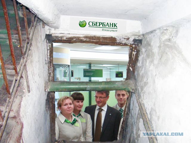 Мой подвал, мой бизнес !