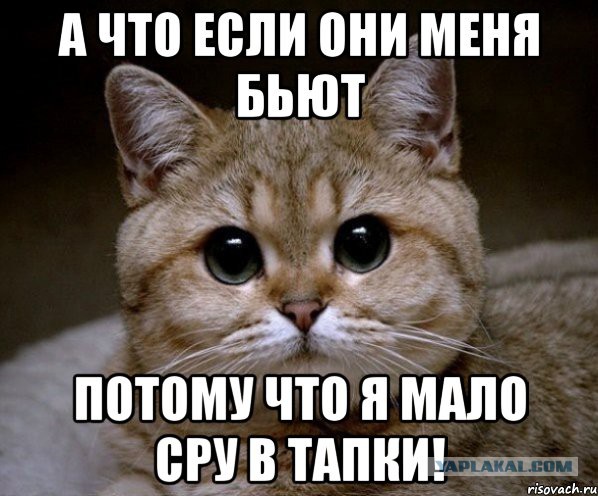 Утреннее ЧП