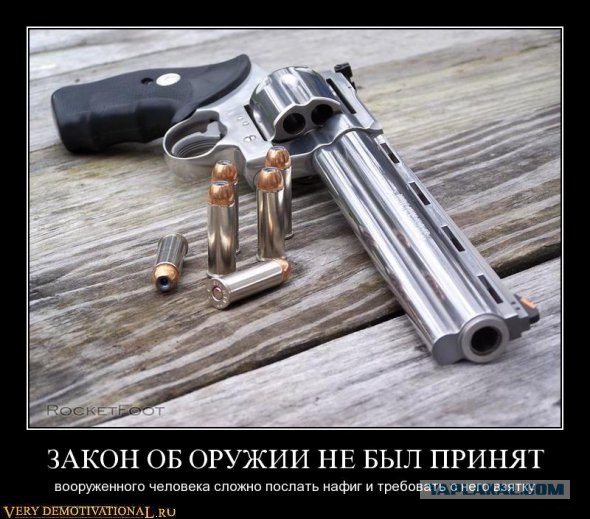 Россиянам предлагают дать право на боевое оружие