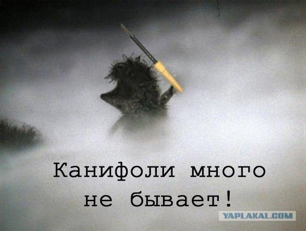 Инженер - это половая ориентация!