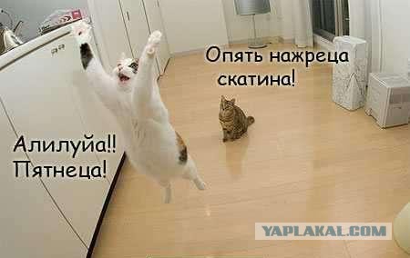 Пятница 07.08.15