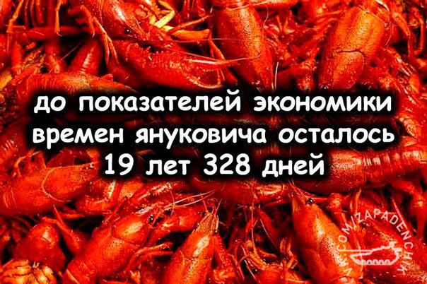 Перемирие кончилось, едва начавшись. Часть 13