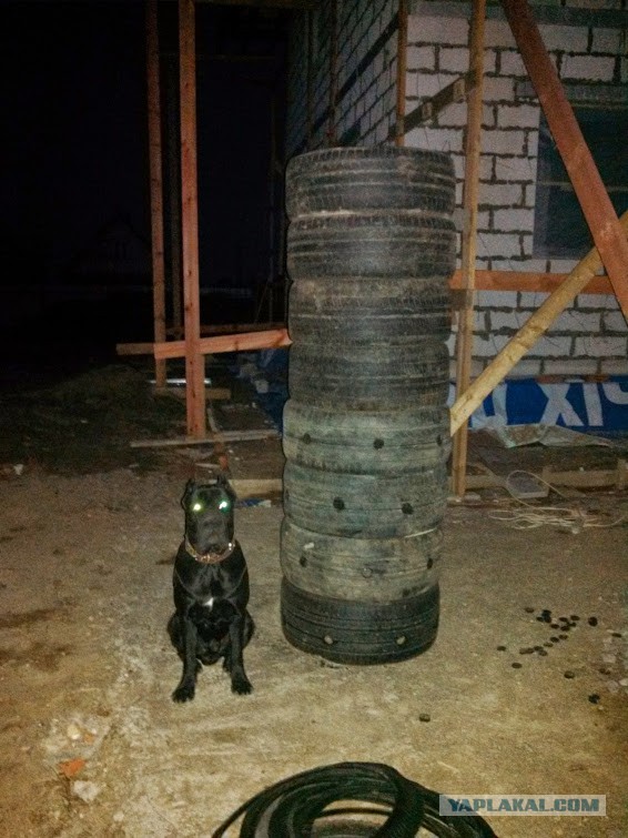 А вот моя домостройка