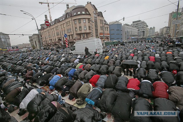 Вы, москвичи, счастливые - у вас нет черных