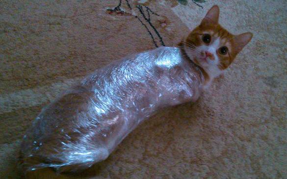 Так я читаю ЯП