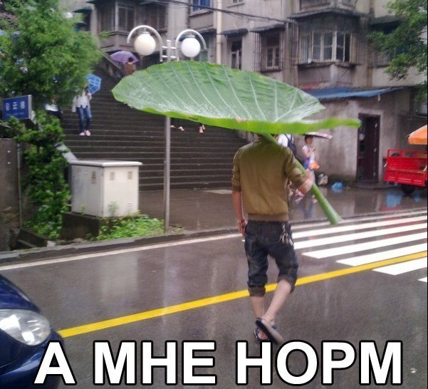 Картинки на пятницу