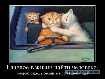 Приколы из сети