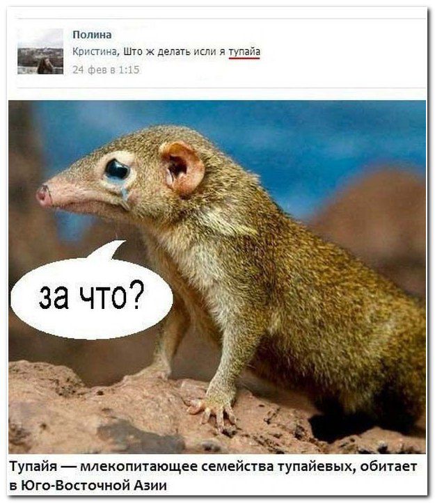 Ужасы и приколы из соцсетей 18+