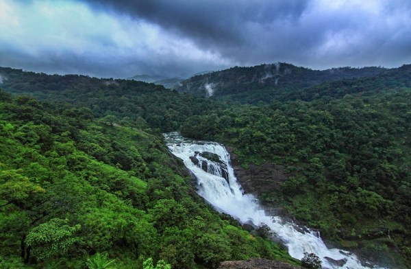 Картинки из сети