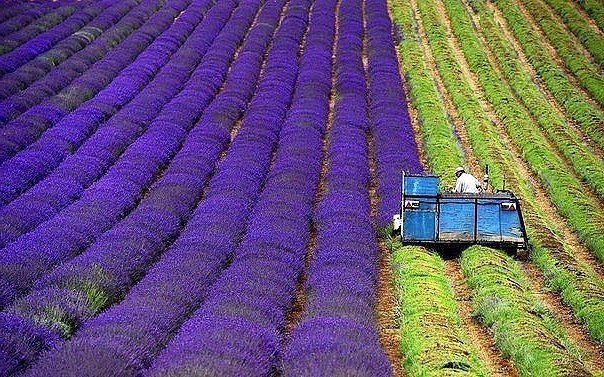 Подборка картинок