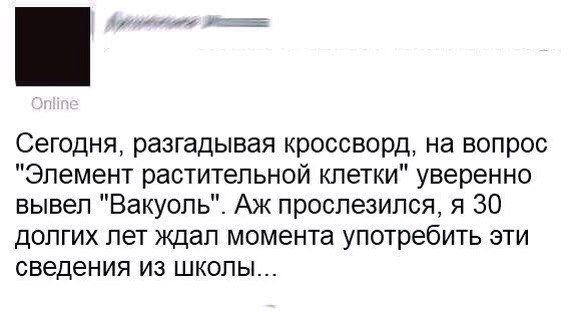 Комментарии и картинки из соцсетей