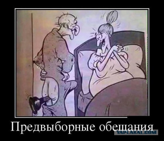Ассорти картинок из сети
