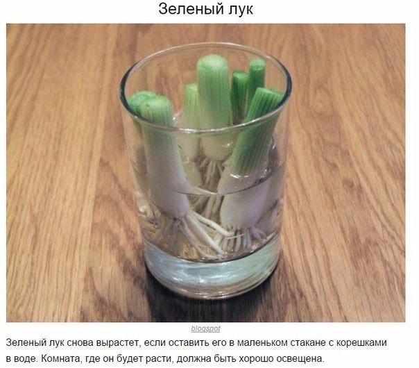 Подборка "тёплых уютных домашних" фотографий, часть 6