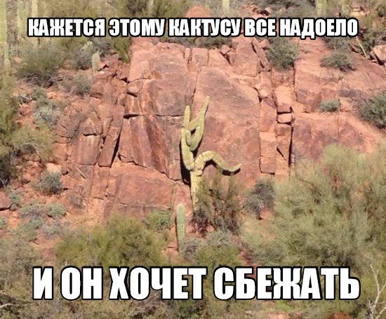 Подборка картинок с просторов...