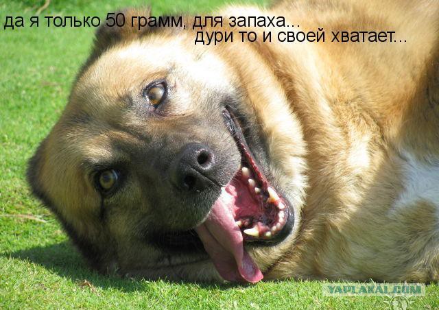 Где Клуб Любителей Алкоголя?