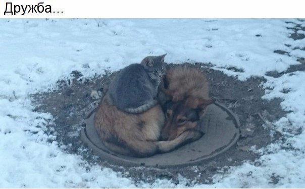 Фотки всякие разные...