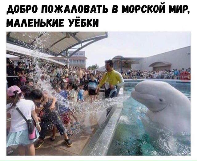 Подслушано в палате № 6