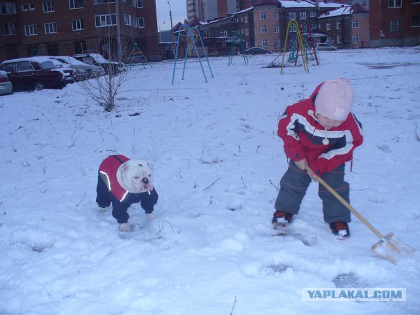 Cобакены к четвергу