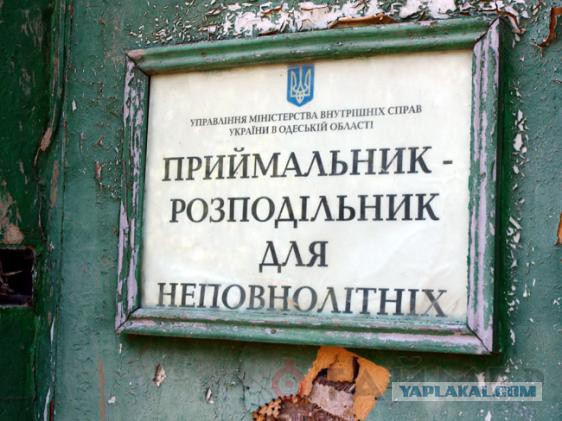 Познакомьтесь с моим приемником