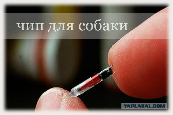 ФСБ и Минкомсвязи разработают закон об идентификации пользователей онлайн-игр