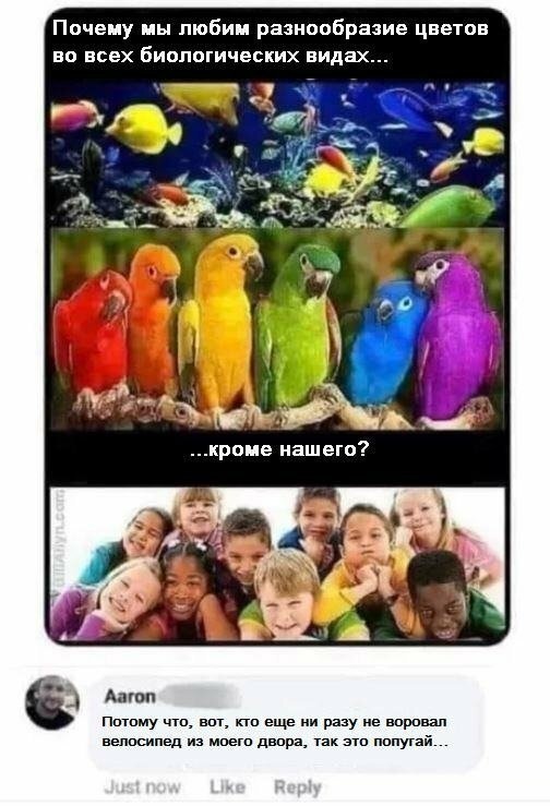 Анекдоты, соц-сети и картинки с надписями