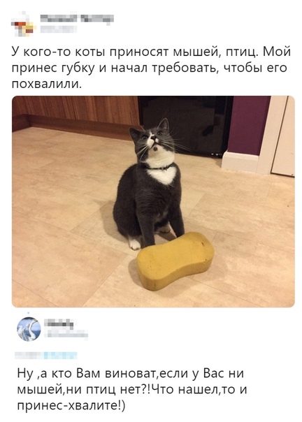 Чуток картинок 14.10.19