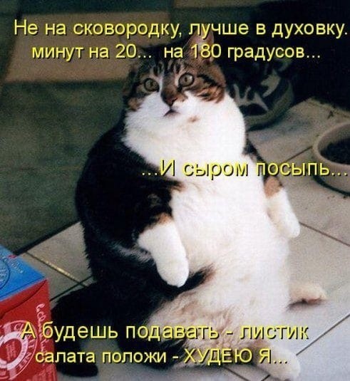 Чуток картинок, на ночь глядя