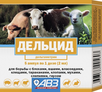 Клещи. Очкую