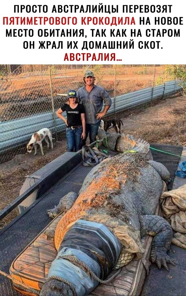 Бредзона