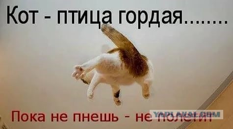 Мужчин все глубже загоняют в кабалу