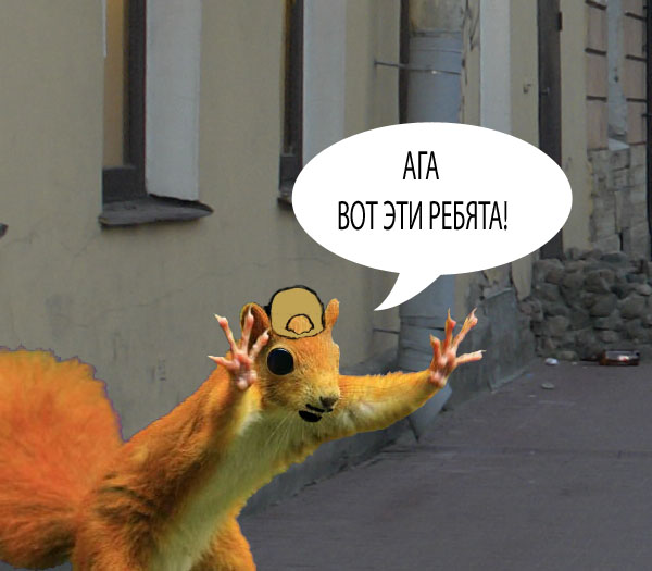 Фотожаба: Белка как бы говорит нам...