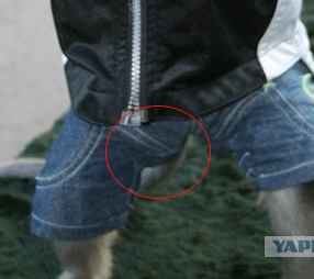 пацаны ваще ребята