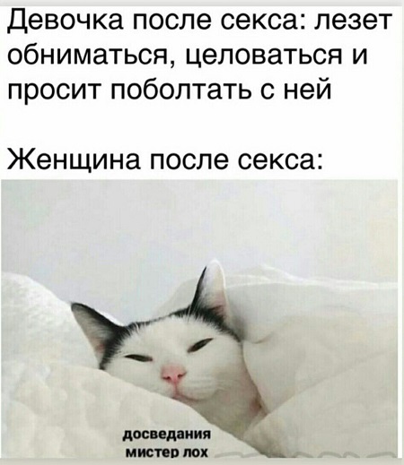 Весёлый полтишок 17.02