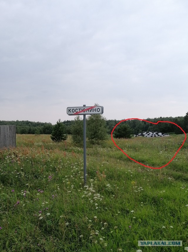 Живу в деревне