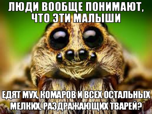 Один шаг и она начнется