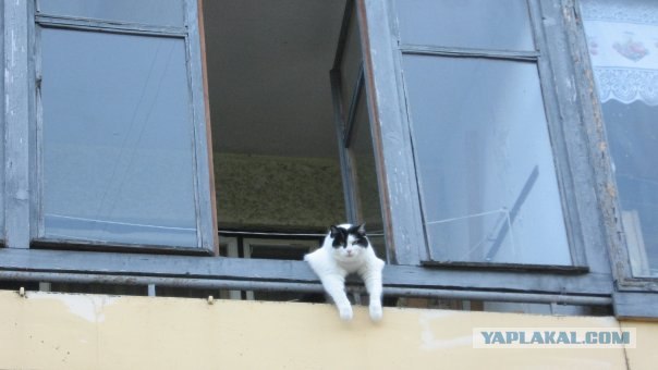 Фотоотчет о поездке в Беларусь!
