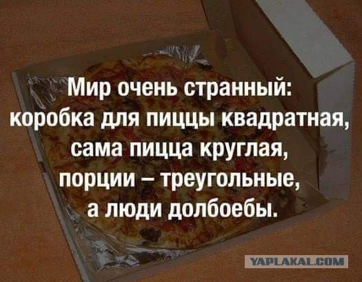 Ну ведь земля-то круглая