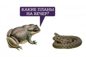Рост цен в Европе. Как интересно они считают инфляцию