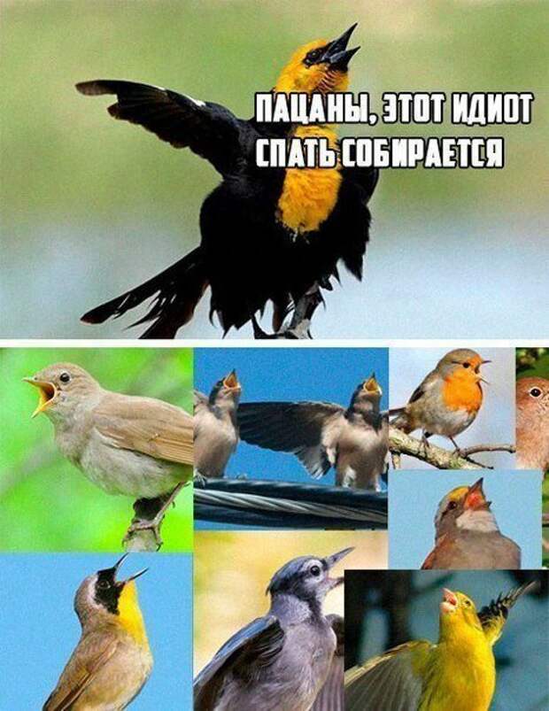 Ушла жена