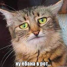 За 35 миллионов рублей продаётся бункер, которого хватит на 2 года жизни при взрывах, наводнениях и войнах