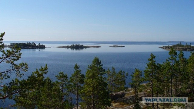 Рыбалка на Онеге