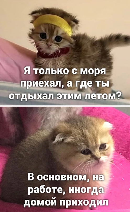 Немного картинок для настроения - 127