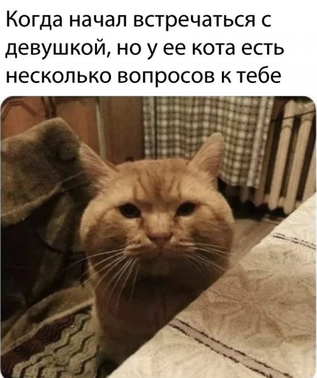 Немного картинок для настроения - 114