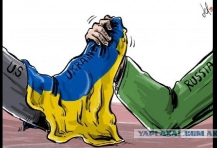 Люди. Простите. Но мы - ОЗВЕРЕЛИ!