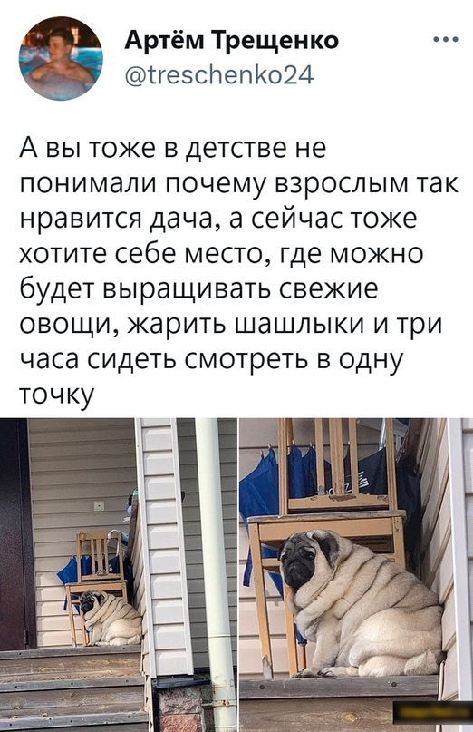 Немного картинок для настроения - 177