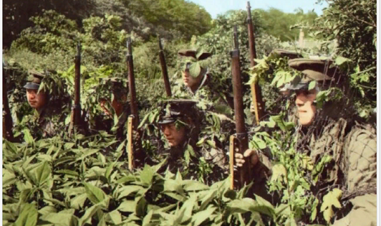 Дальтоники в 1941 году в армии США