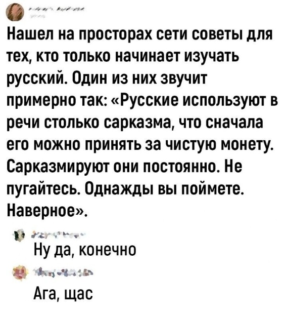 Весёлый полтишок 08.04.24
