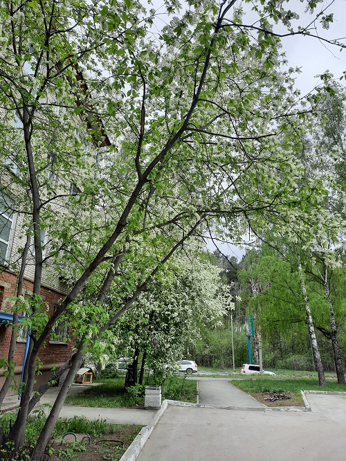 Деревенская Америка - 10
