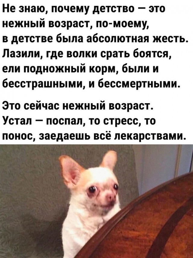 Так себе картинки 23.09.24